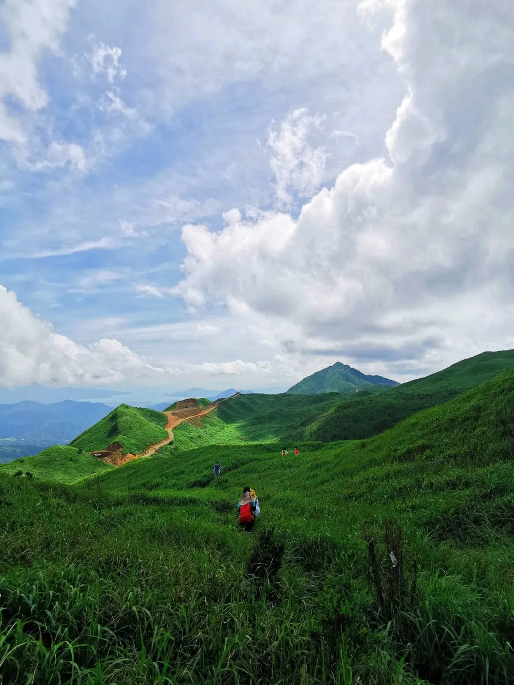 每周六周日徒步惠州大南山赏珠三角最美高山草原
