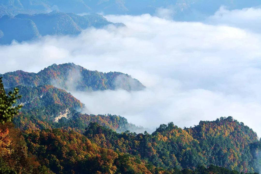 四川一绝美的避暑名山，夏季平均气温为23℃，被誉为“溶洞王国”
