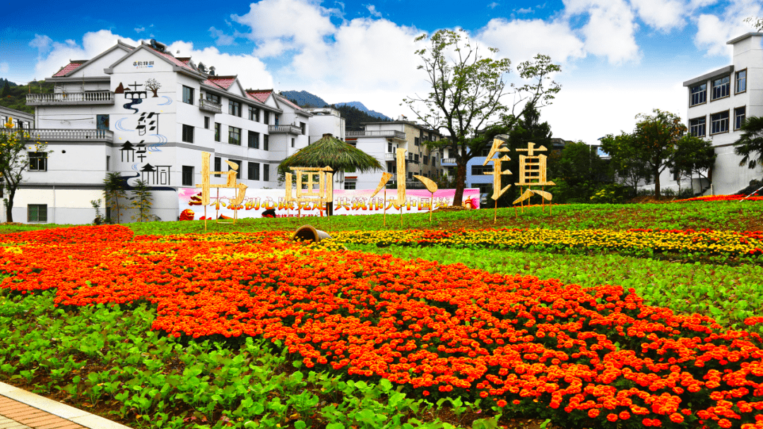 5.30-6.5丨创意&设计 weekly_杭州_数字_文化