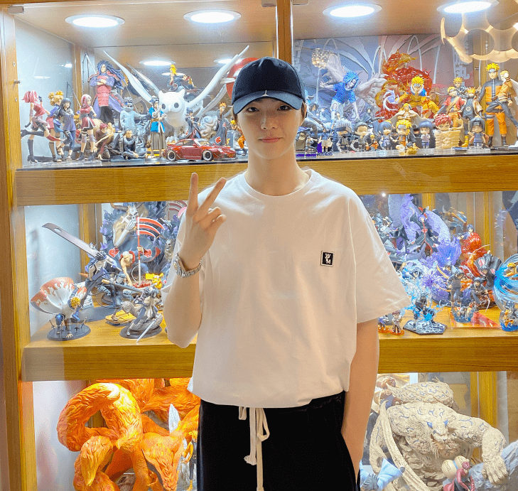 原创刘昊然玩绝版乐高陈立农满墙手办男明星的爱好真烧钱