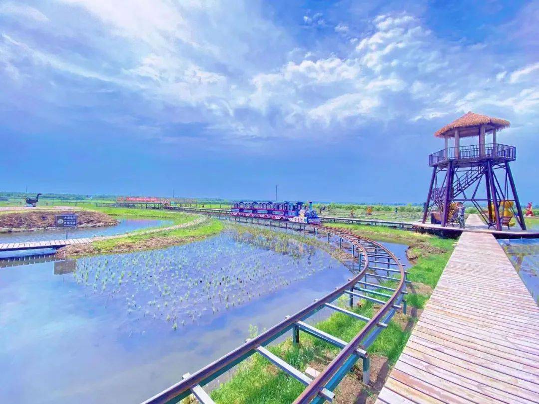 黑河市西岗子镇稻田公园即将开园