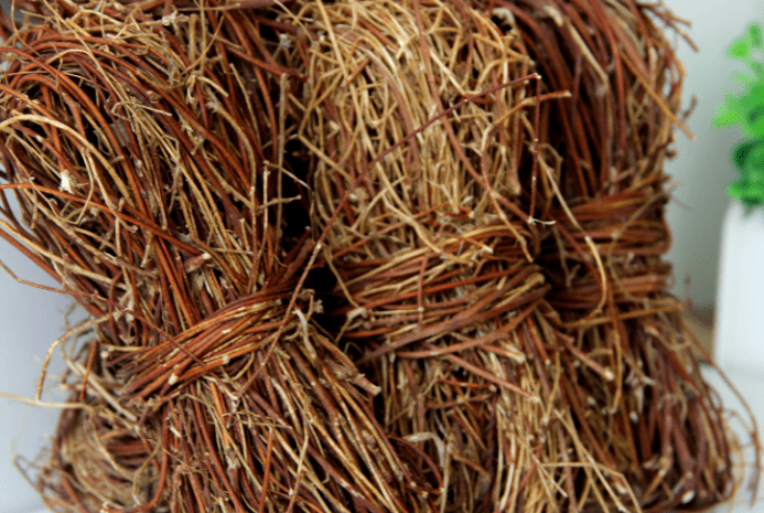 坚持连吃一周,养肝生血补肾精力满满_肝脏_三七_的作用