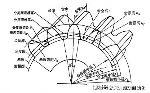 齿轮部位名称介绍_齿根_分度_齿槽