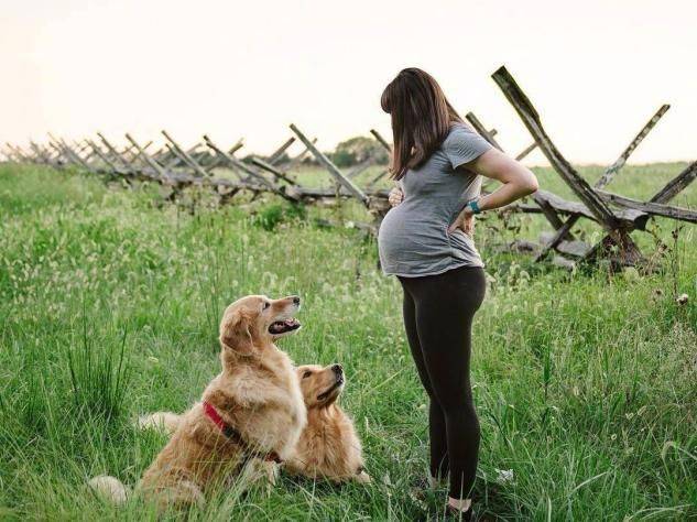 因为怀孕婆婆要送走爱犬为此天天吵架真的不能养狗吗