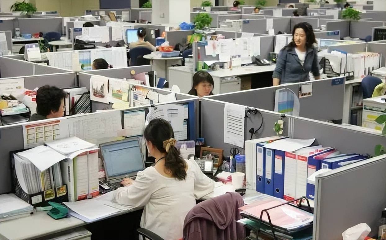 上海储备人才招聘信息公开东北985全军覆没部分海归也被淘汰BOB全站(图8)