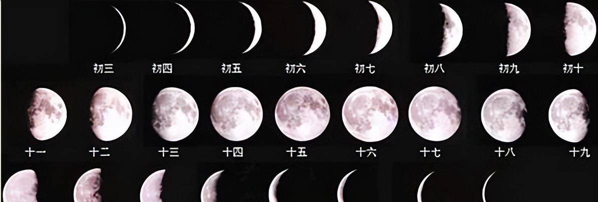 确保选择阳历出生日期