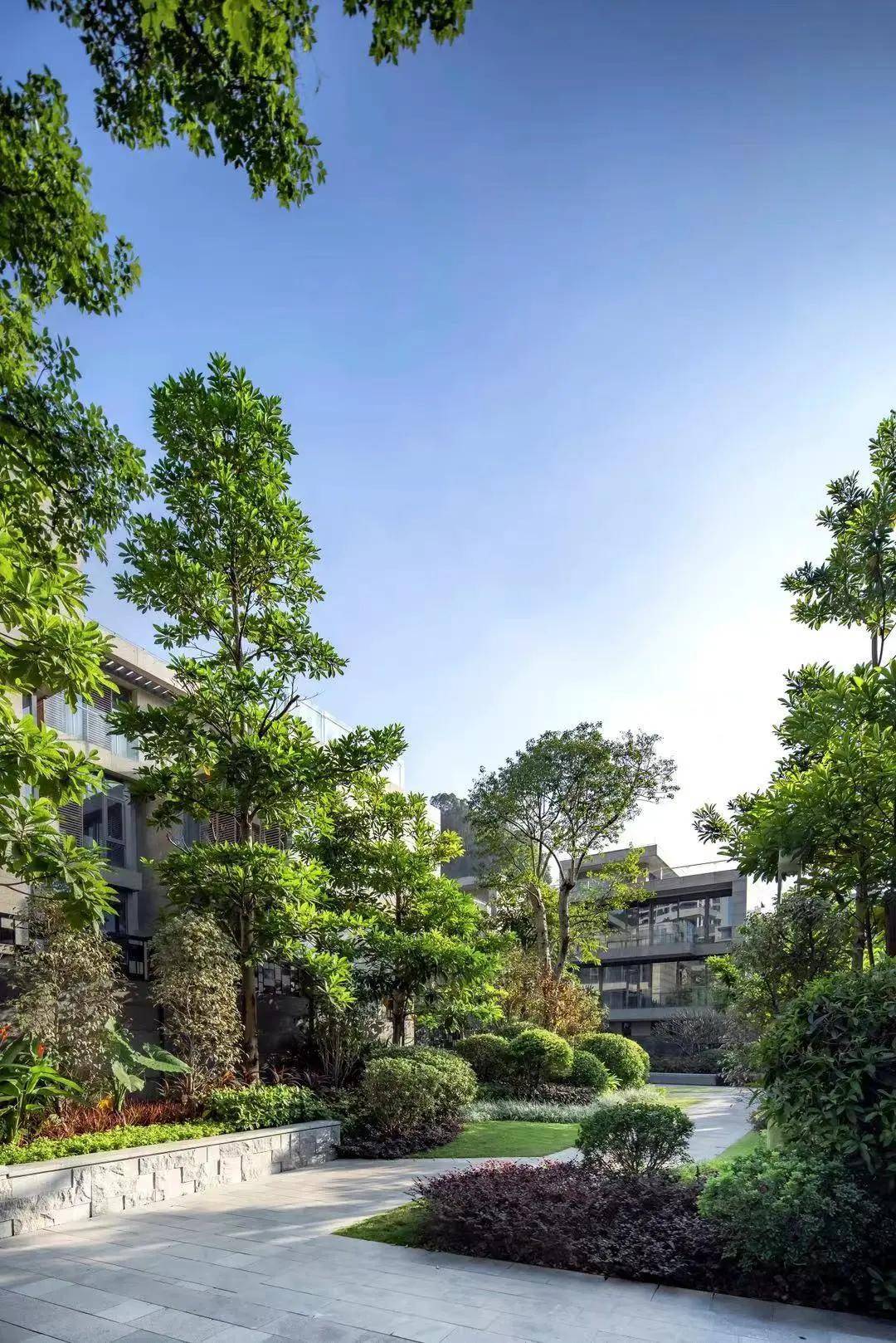 广州白云区《新天半山》|百度百科|彻底火了,火爆原因究竟是?