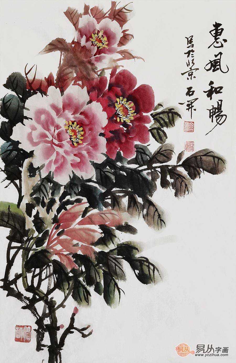 欣赏画家石开的写意花鸟画笔墨精熟潇洒赋色鲜活