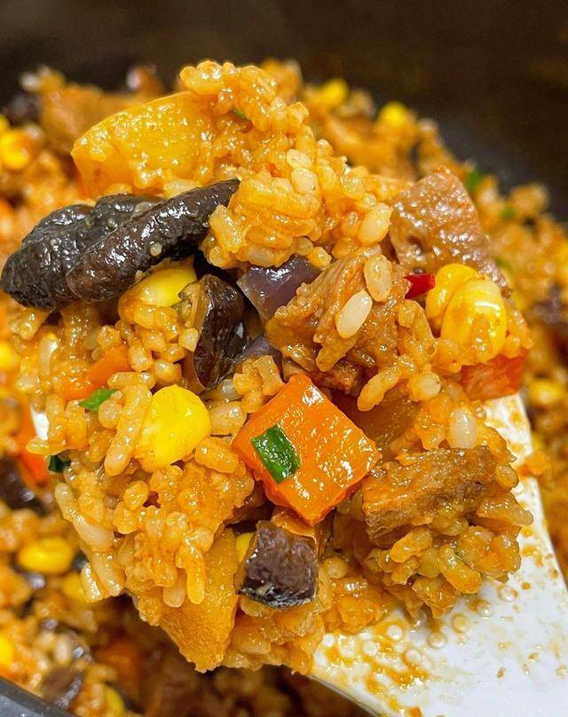 巨好吃牛肉焖饭_配料_洋葱_糙米饭