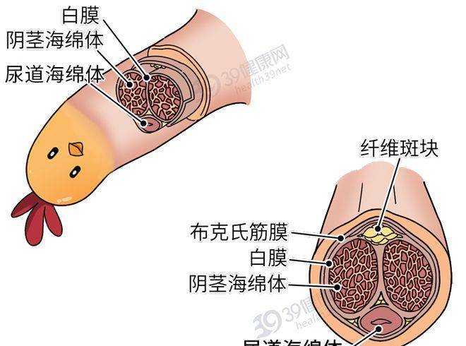 原创发现丁丁变小可能是真的只因这5种行为