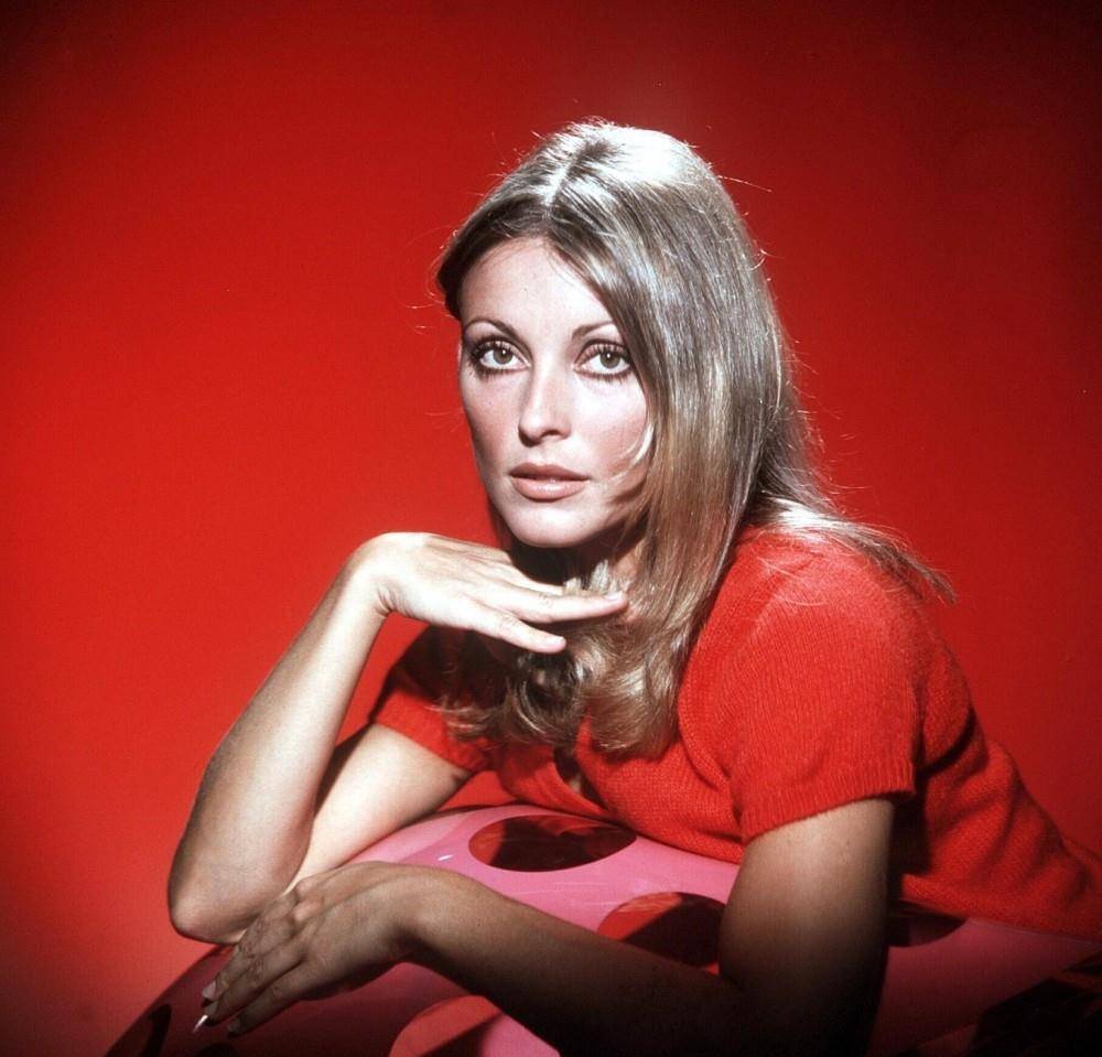 6位早逝的欧美女星，最小的26岁，有的是花样作死，有的令人惋惜_搜狐网, image size:1000x959