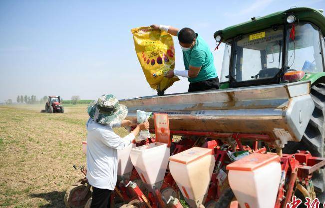 化肥涨价或致全球粮食减产，损失的大米够养5亿人