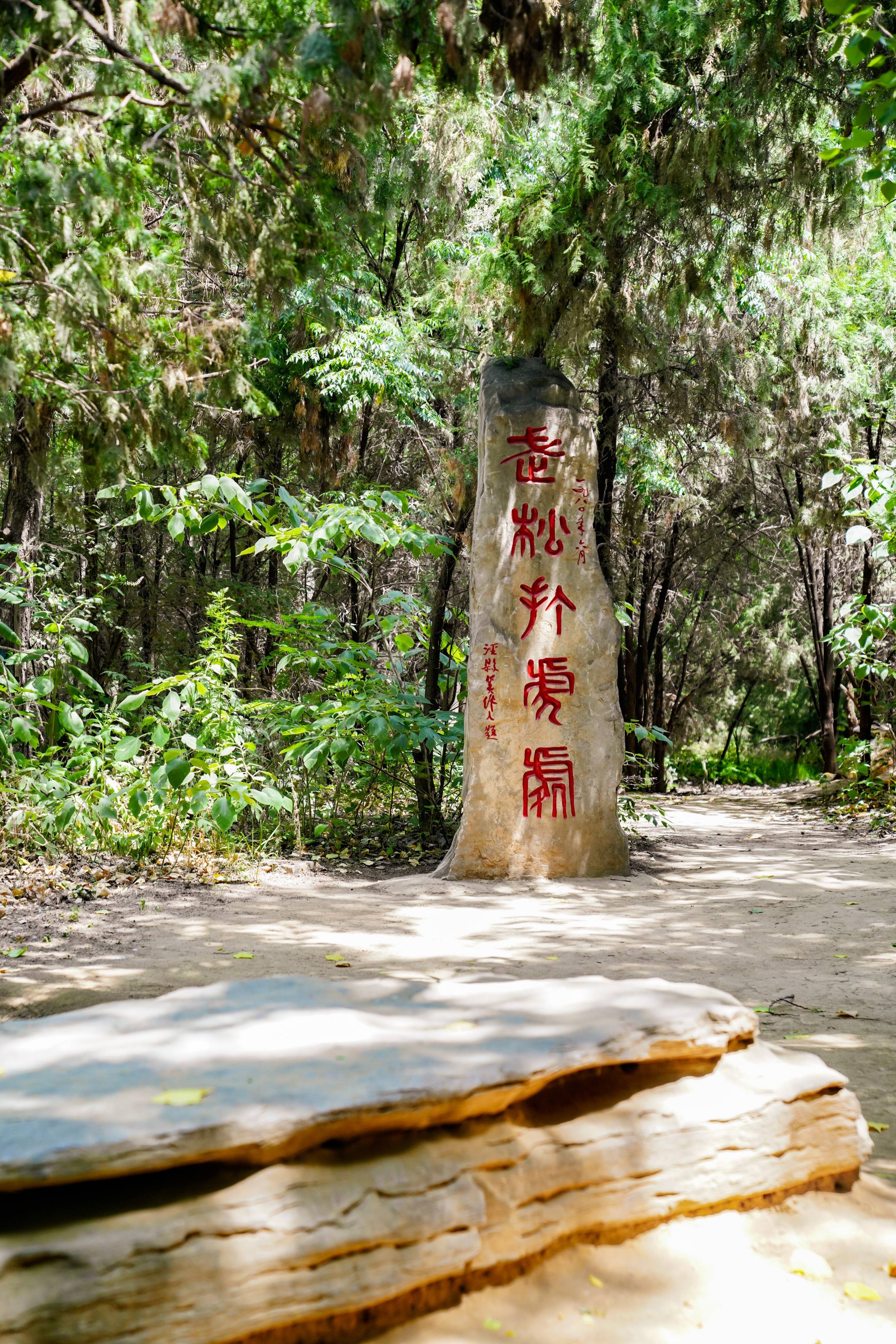 巡游二十四节气,东昌古韵忆聊城