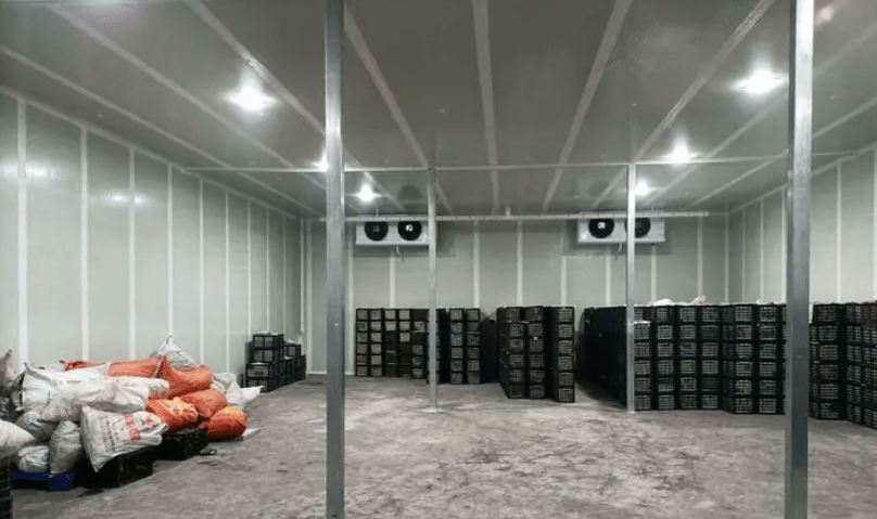 气调冷库与普通保鲜冷库的区别有哪些气调库有哪些优点