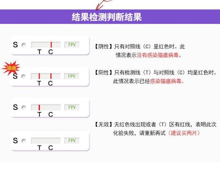 如何去辨别猫咪是否染上猫瘟