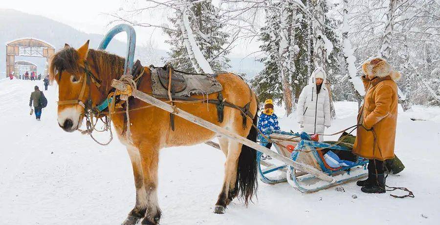 十一月雪橇图片