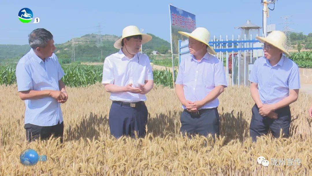 宝鸡陇县县委书记叶盛强调研三夏工作