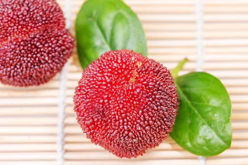 夏季吃杨梅,吃之前了解下这3个细节_孕妇_维生素_水果