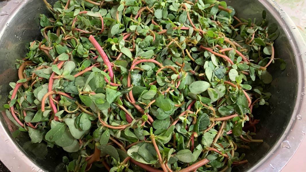 夏天是个五彩缤纷的季节,鲜花繁盛,绿草茵茵,瓜果飘香,麦浪金黄,给