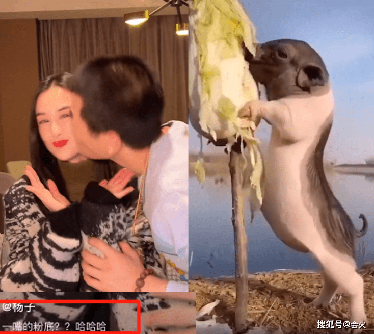 嫁什么豪门,不还是赚钱工具人?