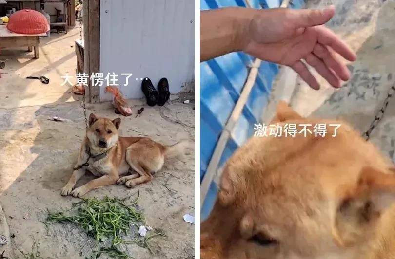 原创
幽默段子,如果第二天我没更新可能是我被笑死了