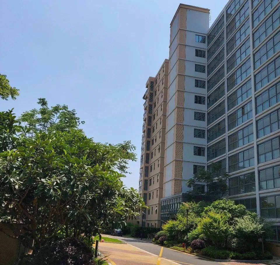 上海浦东梧桐国际梧桐国际官方网站丨梧桐国际售楼处丨梧桐国际梧桐