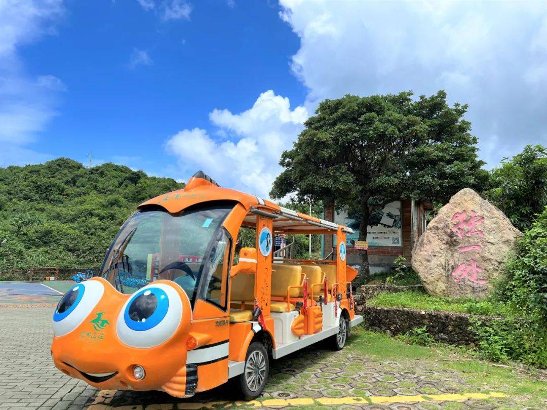 独特的风景线,来"青罗湾"乘坐玛西尔小丑鱼造型车