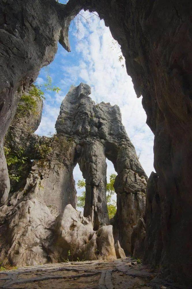 可谓集岩溶景观之大成,台原,峰丛,孤峰,溶丘,石林,石牙,洼地,漏斗