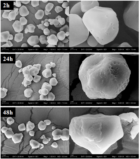 淀粉精细结构|c.p.酸水解对淀粉纳米颗粒性能的影响
