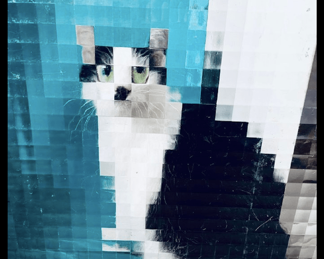 原创猫咪坐在门前主人从屋里看它变成了一只马赛克猫好有艺术感