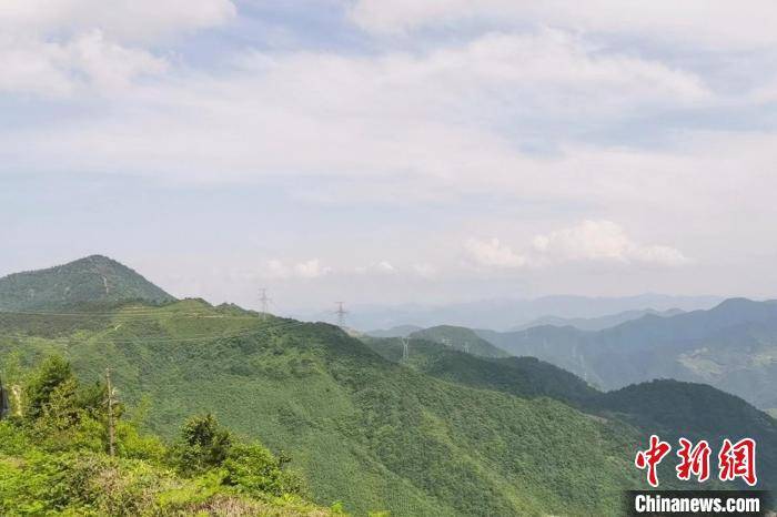 浙江丽水谱“两山”新篇：生态产品价值打开经济“绿宝藏”