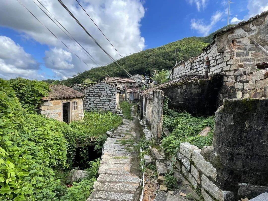 雷岭镇以"山水福地·康旅雷岭"为主题,通过"一镇一业,一村一品"项目