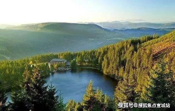 高層公寓構成,小區規劃採用了原生態森林公園佈局,11000棵成年香樟樹