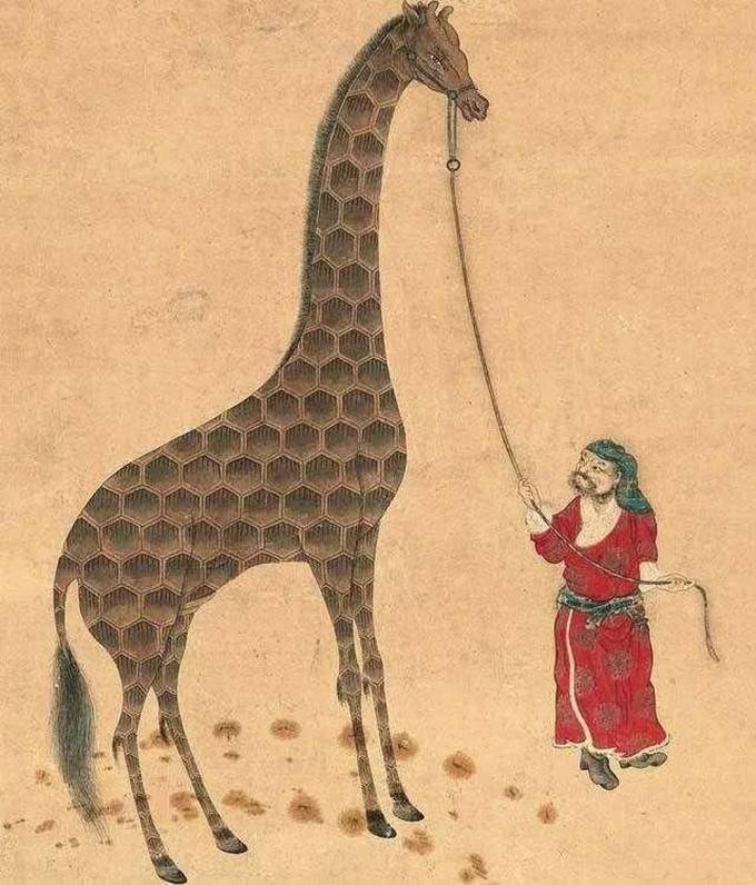 原创数量不足200只，罕见亚洲麒麟现身安南山脉！它和麒麟有关系吗？