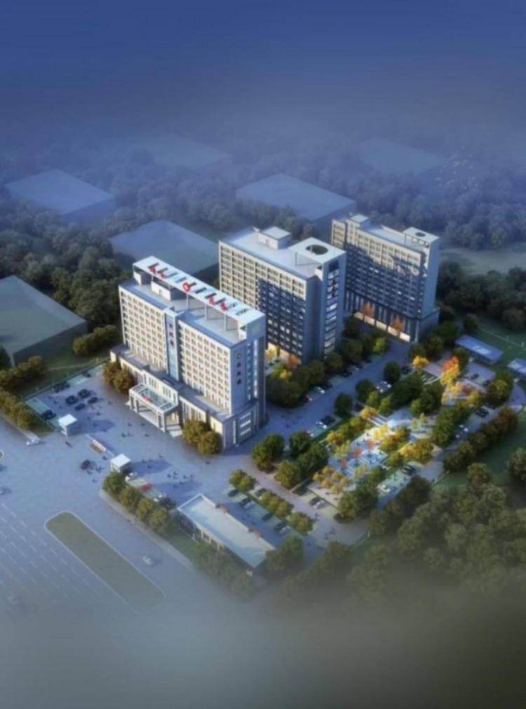 张正天:梅洁教授 博极医源 追求卓绝_重症_国际_集团