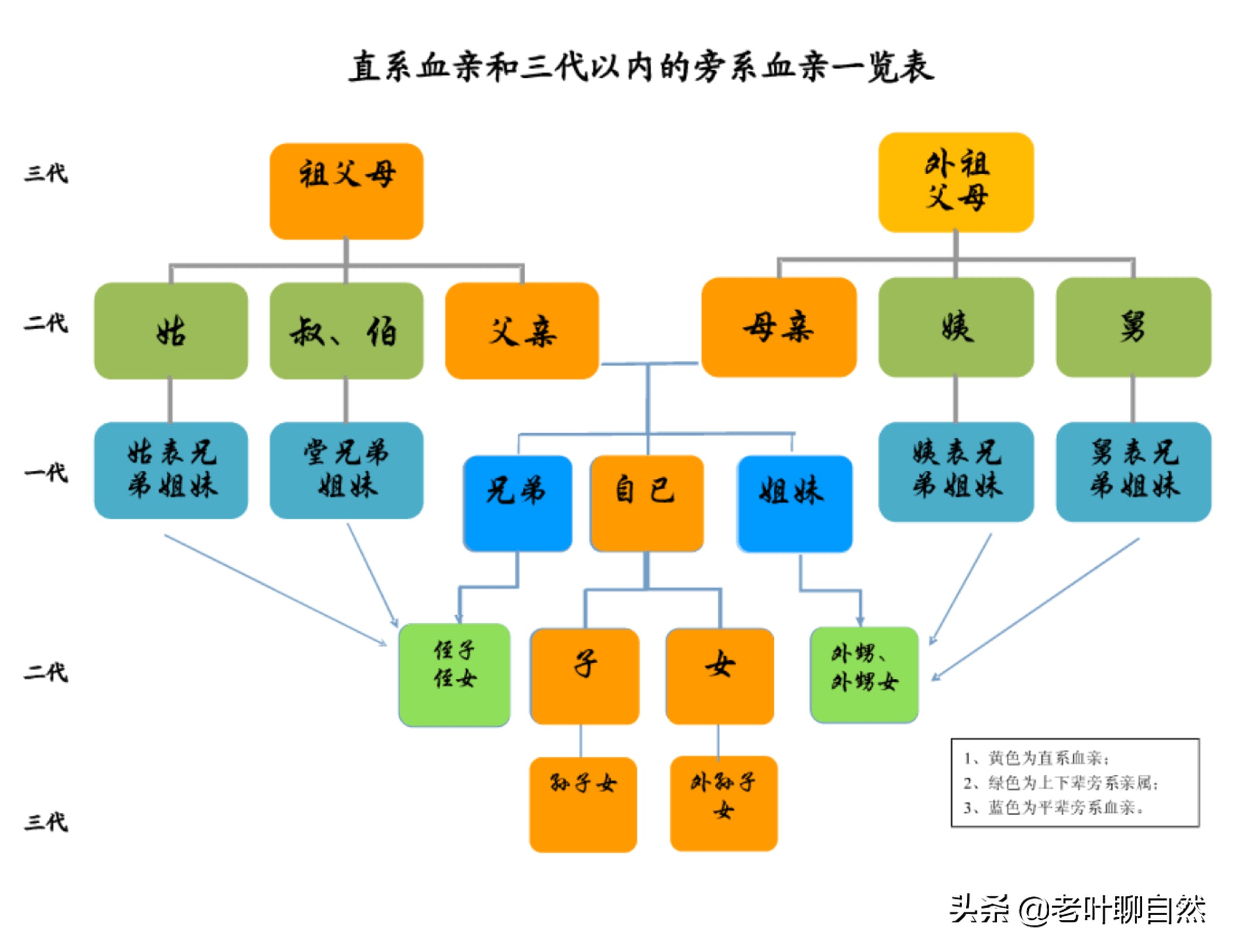 原創近親繁殖真的有害嗎獵豹近親婚配不僅沒滅絕還越活越強