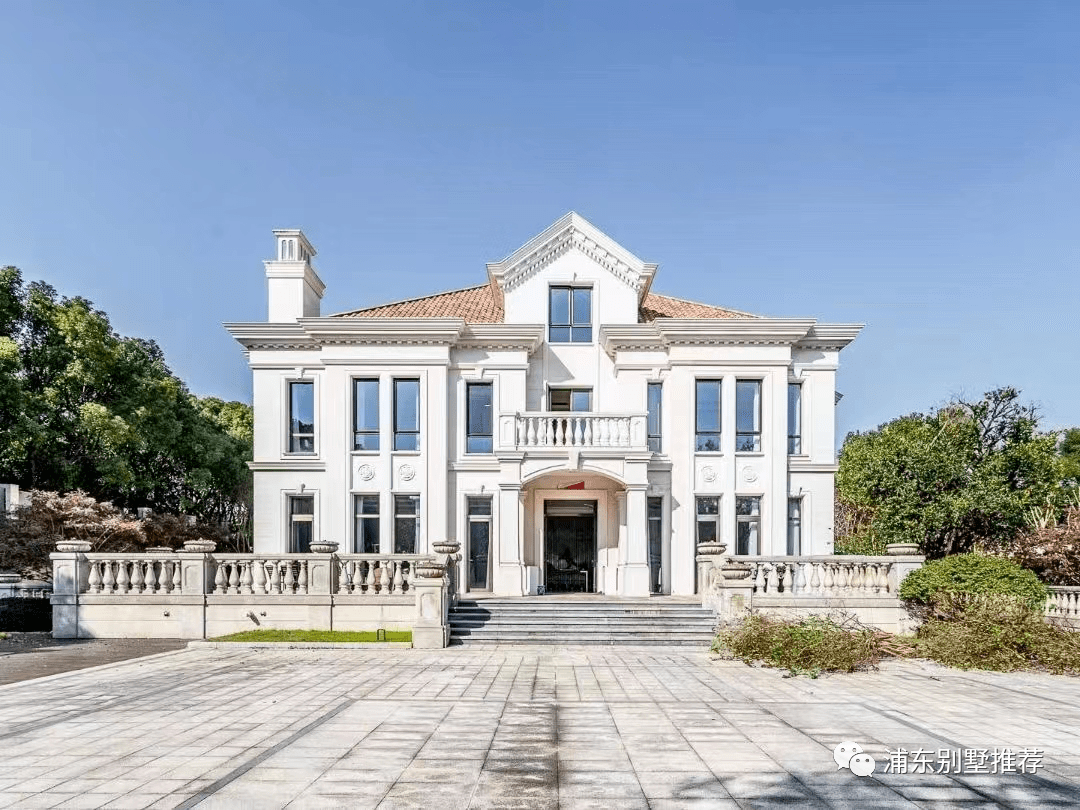 小区优点太多了,东郊国宾板块,低密度庄园别墅