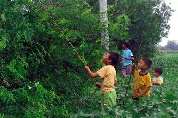 盘点80年代小朋友夏天最爱玩的游戏每一种游戏都回忆满满