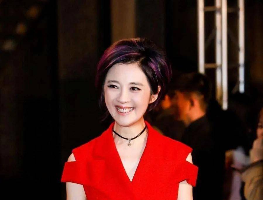 电视"美女主持"许戈辉的"陨落记",她究竟经历了什么_丁健_肖华_孩子