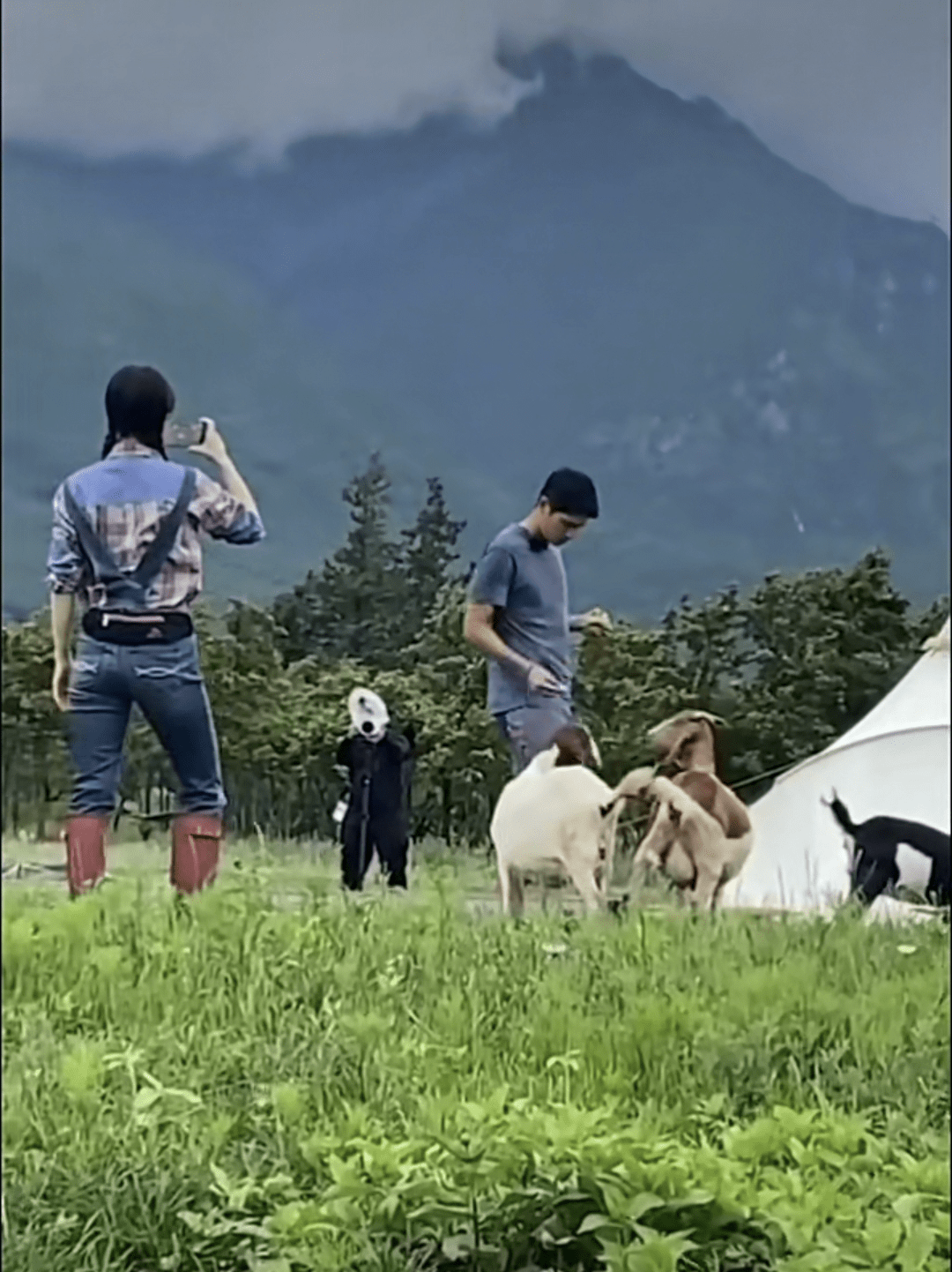 王子文携男友再录节目,在农场给吴永恩拍照变迷妹