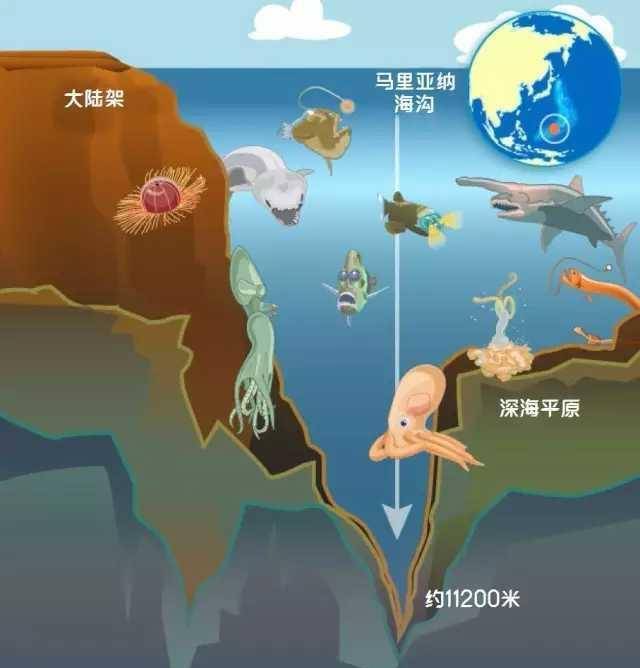 原创世界上最深的海沟马里亚纳海沟怎么形成的它深入地心内部了吗