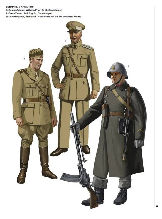 二战丹麦挪威荷兰比利时的军队,被德军闪电战几天打败_棕色_步兵_灰色