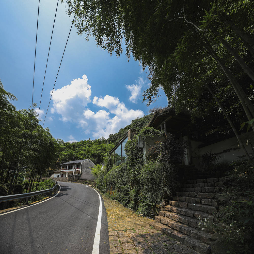 莫干山民宿你会为了撸猫来隐西39住一晚么