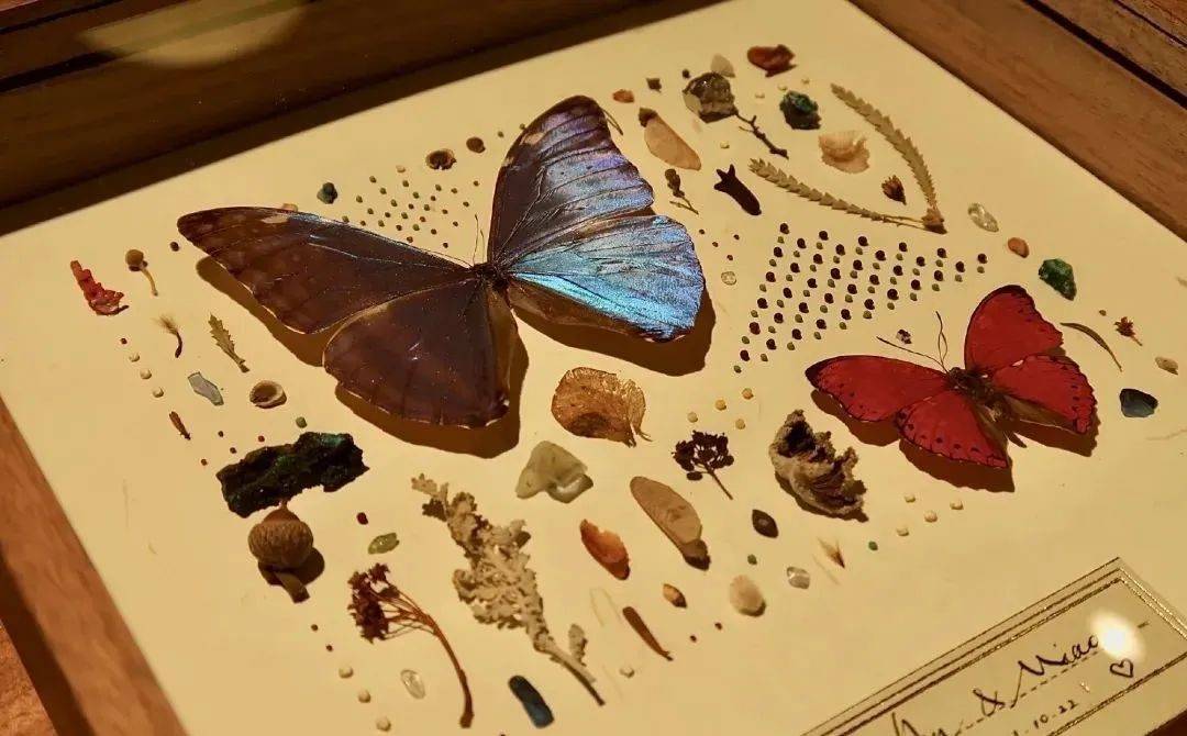 regular中的荒石公园是一座「档案馆」