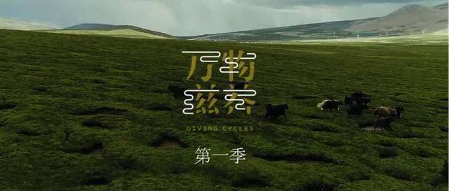 《万物滋养》即将上映,看看揭秘了哪些滋养秘方?_秘密_人类_自然