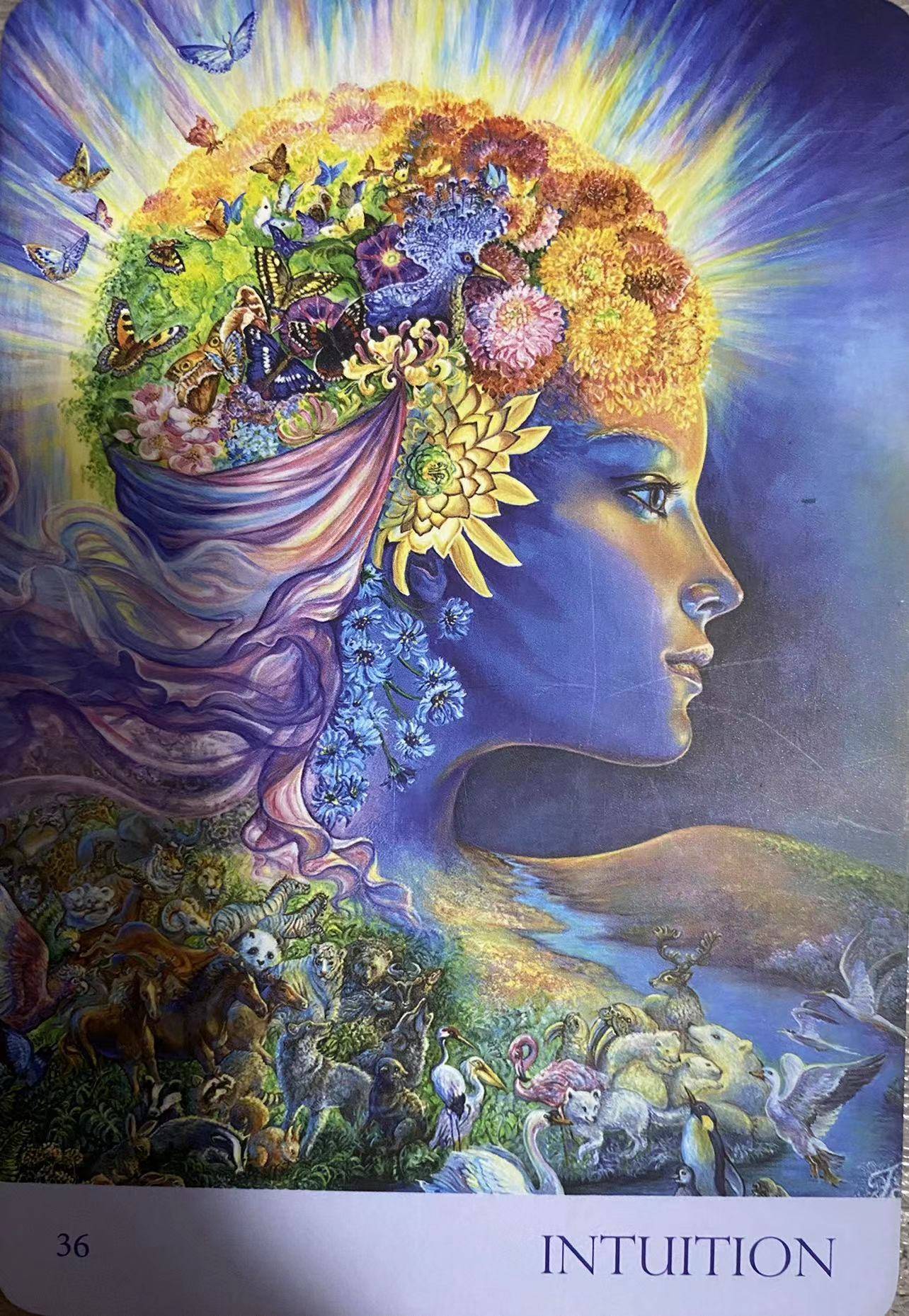 日运71日心灵疗愈指引