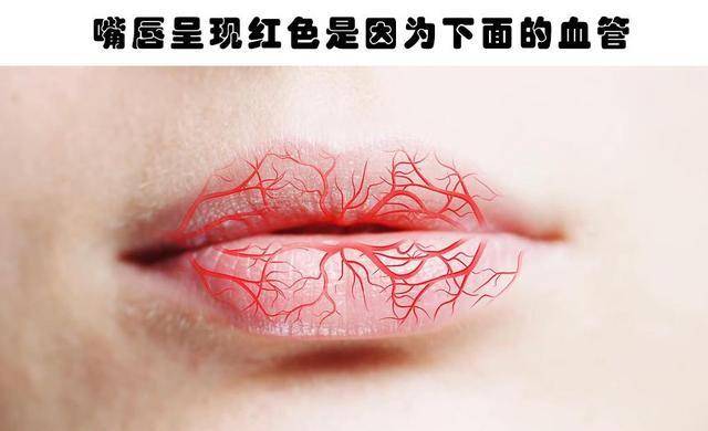 关于人体,这7个冷知识值得你学习_嘴唇_唾液_红色
