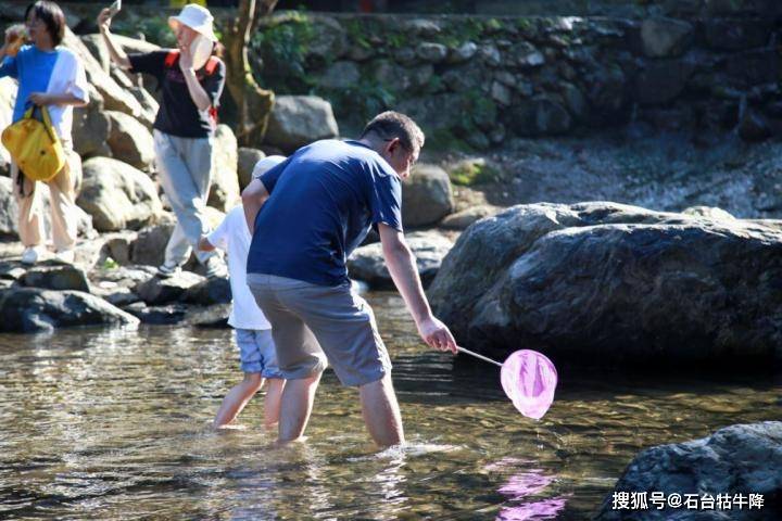 掌握安全秘境，夏日游乐才舒心