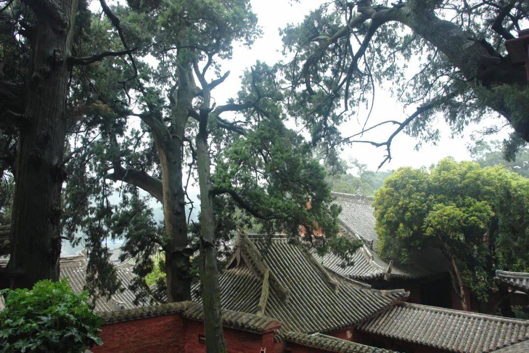 �����ǡ��Ĵ����ձ���ʮ�ģ�����1876�꣬������һ�ɵ� ...