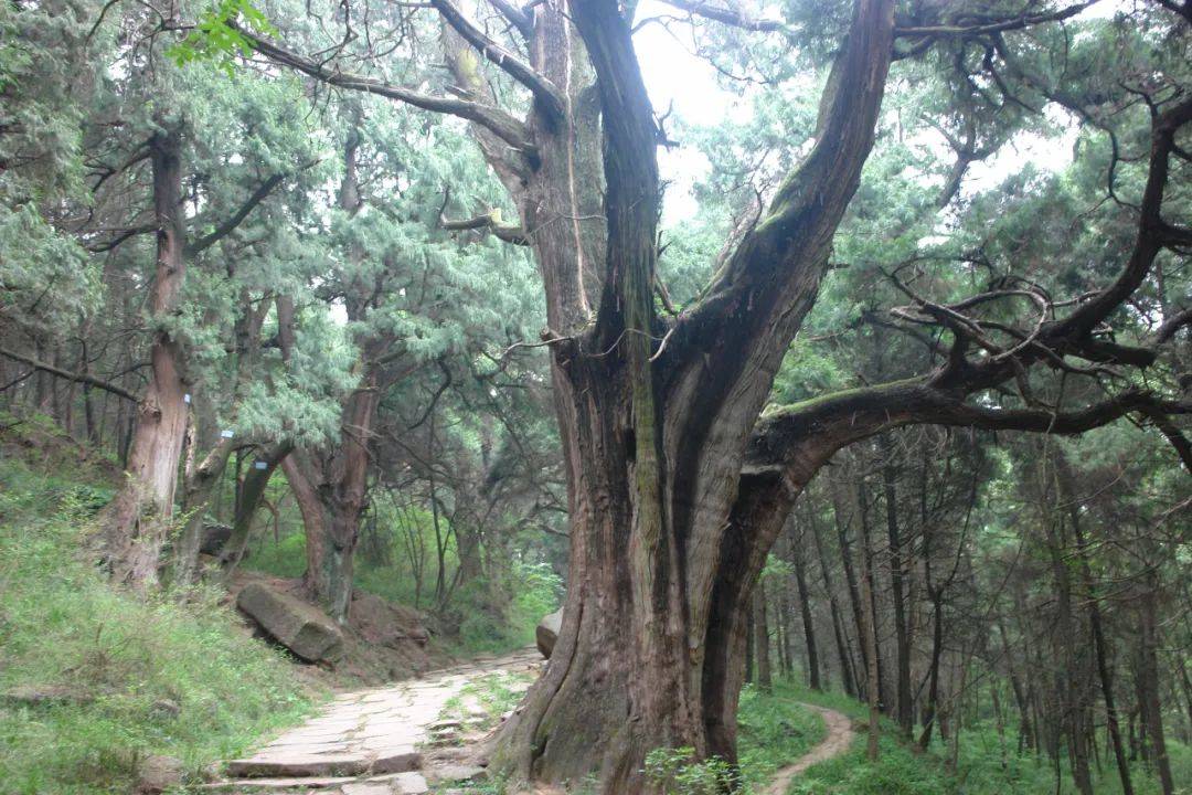 �����ǡ��Ĵ����ձ���ʮ�ģ�����1876�꣬������һ�ɵ� ...